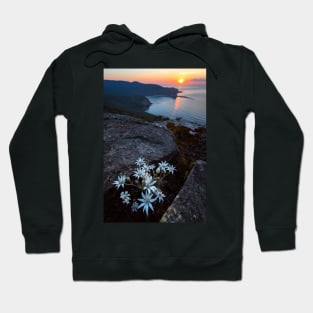 Flannel Flower Sunrise Hoodie